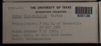 Image Associated With the Occurence